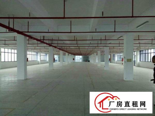 
		惠阳沥林原房东全新创业园独院56000平形像佳
	
