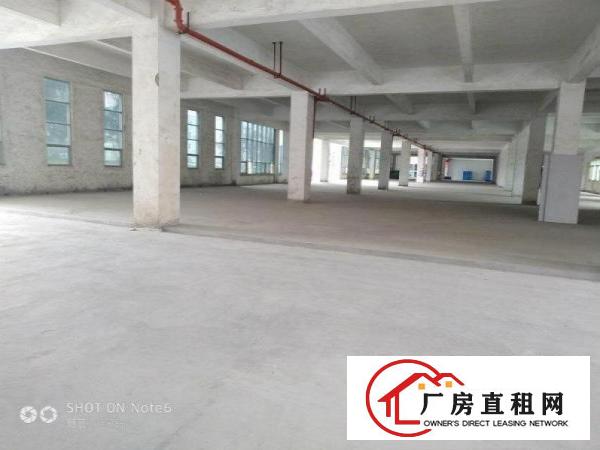 
		惠阳独门独院标准厂房4800带红本
	