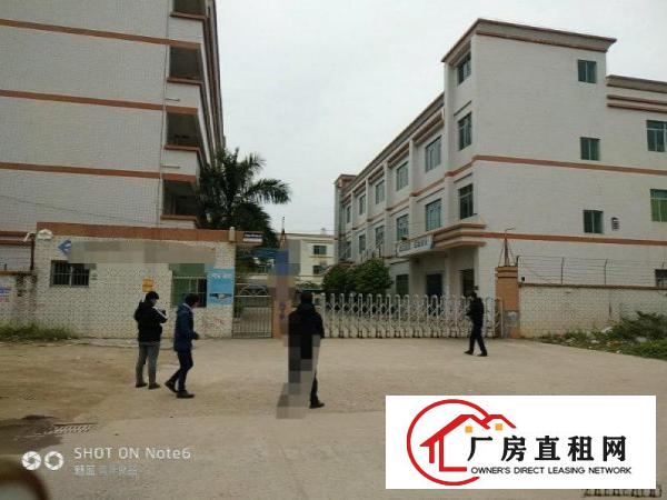 
		惠阳独门独院标准厂房4800带红本
	