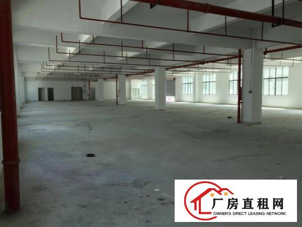 
		惠州新圩长布有独栋厂房出租！
	