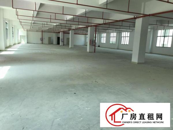 
		惠州新圩长布有独栋厂房出租！
	