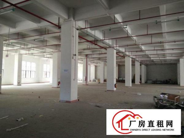
		镇隆高速出口原房东全新红本喷淋厂房，带办公楼装修
	