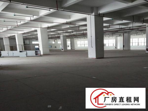 
		高新科技园全新标准厂房
	
