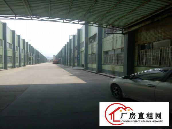 
		镇隆工业区附近独院钢构厂房11000平米，滴水8米
	