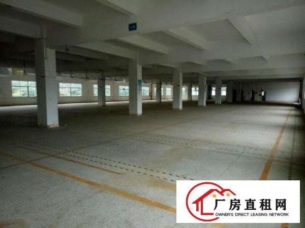 
		惠阳新圩新出独院10000平形象好空地大可分租
	