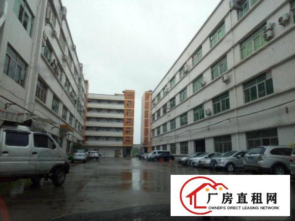 
		惠阳新圩新出独院10000平形象好空地大可分租
	
