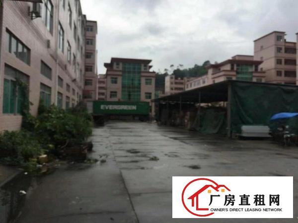 
		惠州市镇隆高速路口红本厂房9800平方标准厂房出租
	