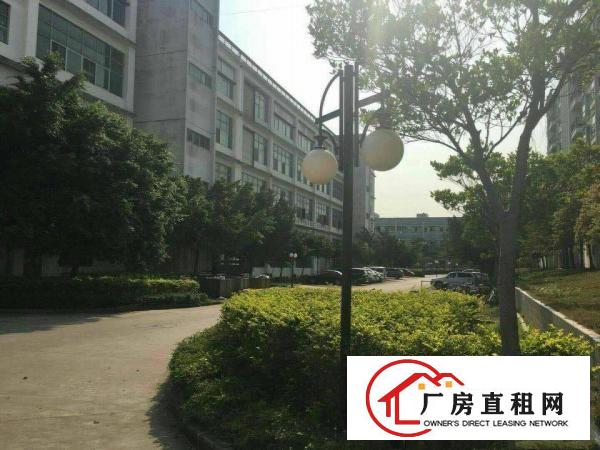 
		惠阳镇隆新出一二楼4000平米全新厂房形象好空地大
	