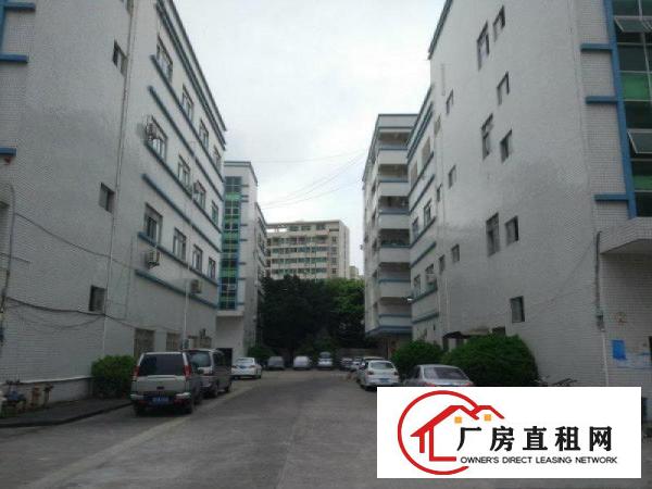 
		镇隆新出原房东厂房三栋29600平米出租可分租
	