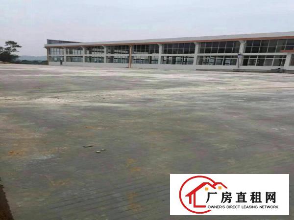 
		惠阳镇隆8米高钢构厂房18000平米，10元可分租
	
