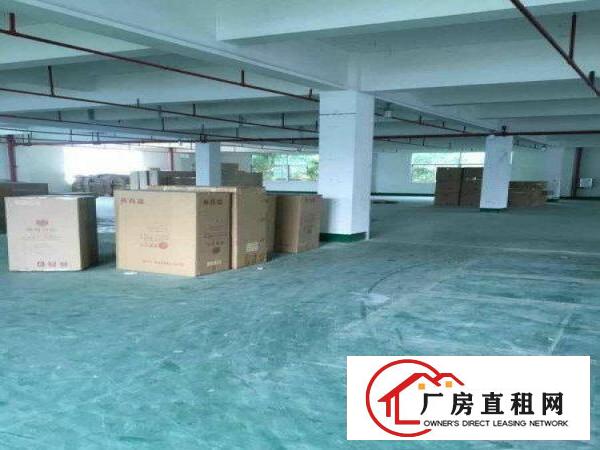 
		惠阳原房东独院5400平方租12元
	