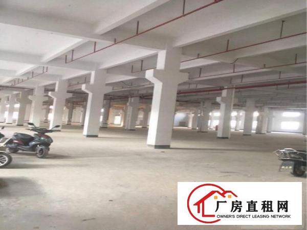 
		惠阳新圩高速路口附近新出独栋钢构厂房3600平方
	