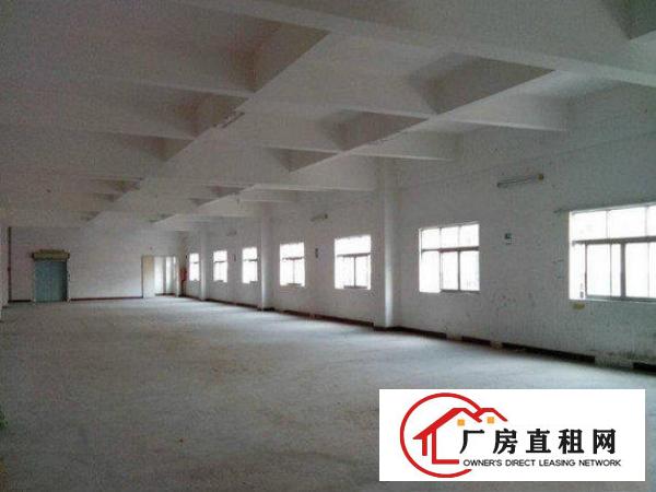 
		镇隆楼下村1100平标准厂房，配套齐全
	