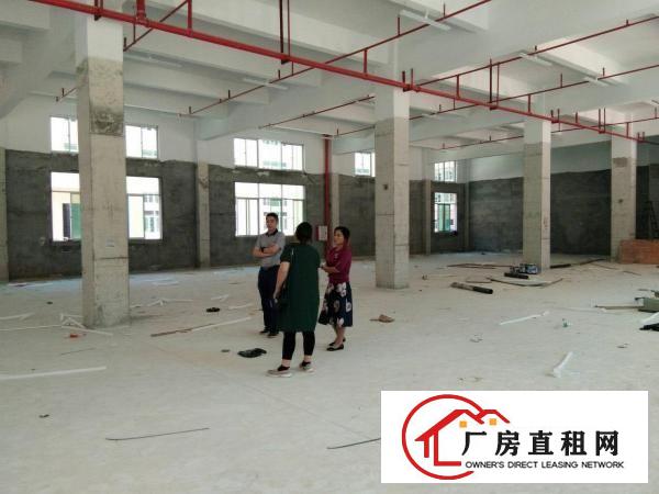 
		惠阳镇隆工业区独院标准厂房4800平业主带装修直租
	