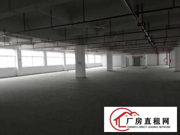 
		镇隆兴业工业园标准厂房带装修办公室1828平方招租
	