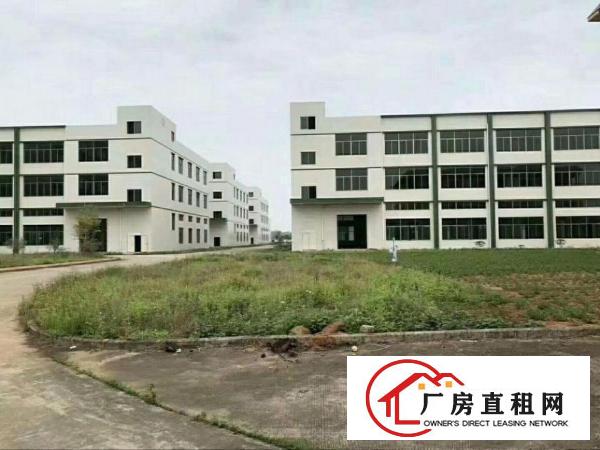 
		镇隆工业园一层标准厂房3000平出租（可分租）
	
