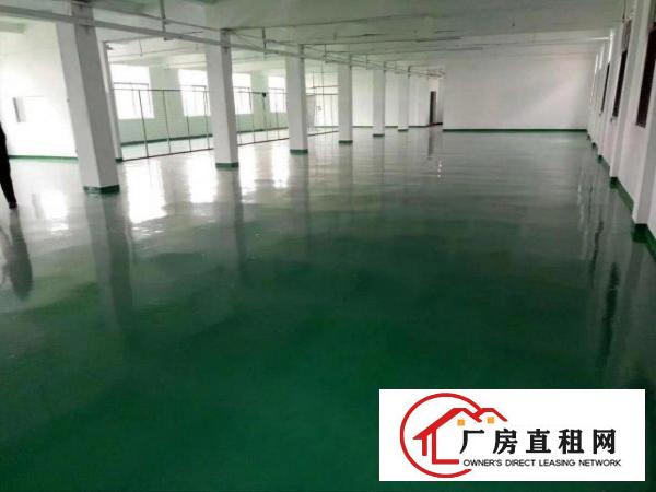 
		镇隆带装修2300二层厂房出租（可分租）
	