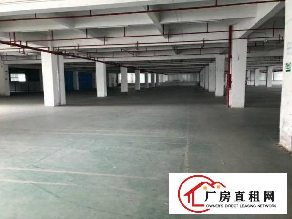 
		惠阳镇隆原房东标准厂房3楼招租
	