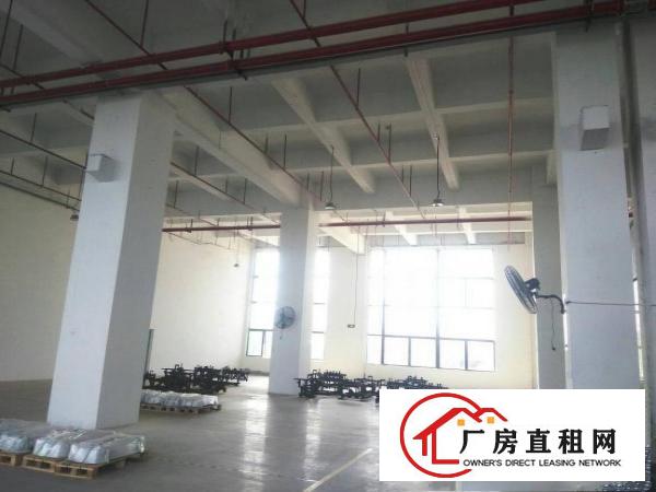 
		惠阳镇隆新出6500平独院标准厂房出租一楼高6米
	