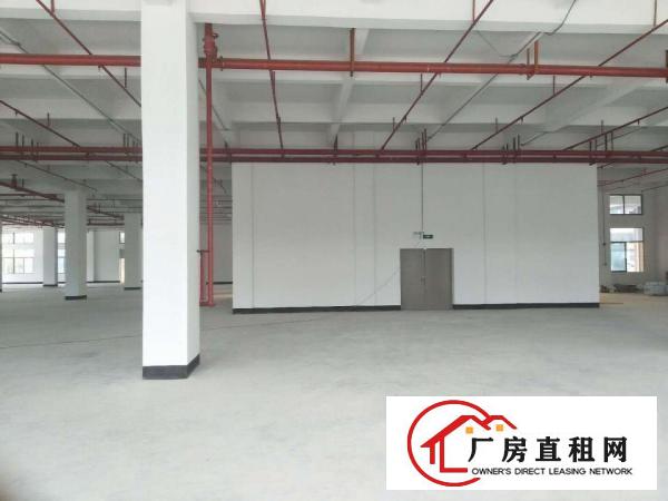 
		可做商业可做厂房！带消防喷淋！全新独院厂房出租！
	