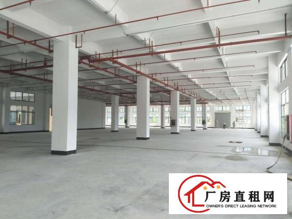 
		可做商业可做厂房！带消防喷淋！全新独院厂房出租！
	