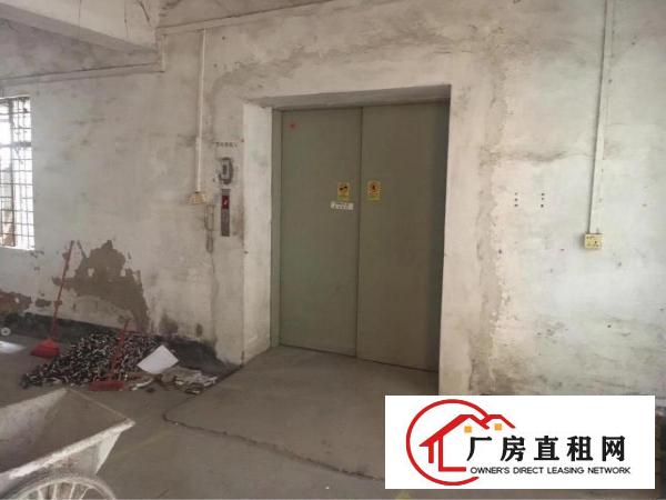 
		镇隆独院标准厂房出租
	
