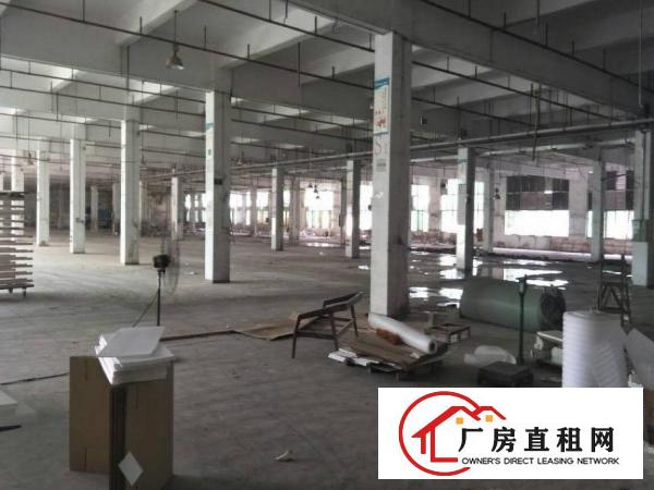 
		惠阳镇隆4500平独栋一楼高6米有喷淋空地大可分租
	