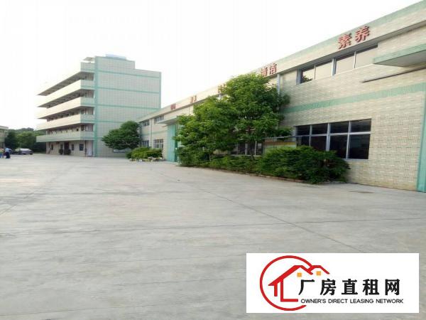 
		新圩独院钢结构厂房6500平整租分租
	
