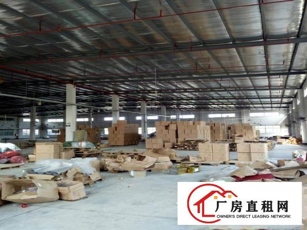 
		新圩独院钢结构厂房6500平整租分租
	