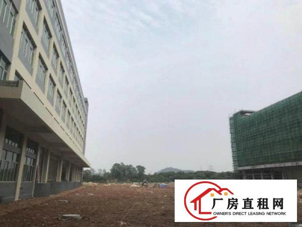 
		镇隆原房东11000平独院厂房出租（手续齐全）
	