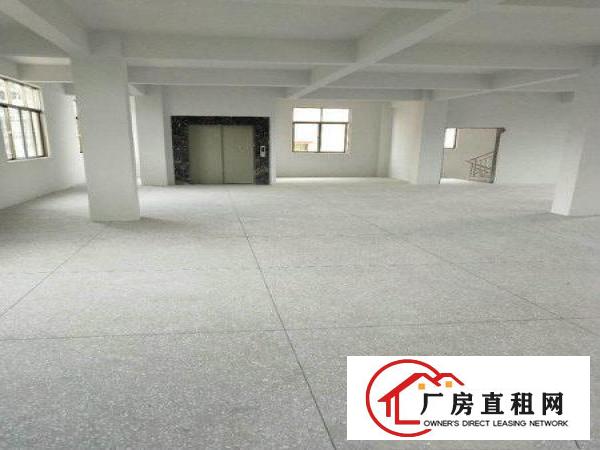 
		秋长全新3100平标准厂房出租带电梯消防过关
	
