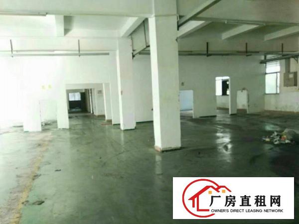 
		秋长白石新出1000平标准厂房一楼带装修办公室出租
	