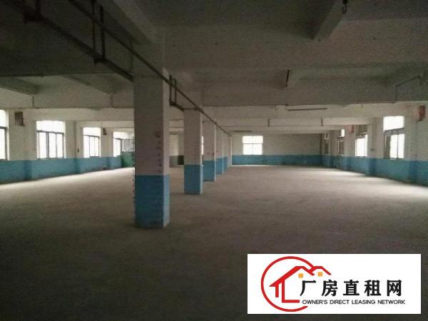 
		秋长新出标准厂房2楼1000平米火爆招租有电梯
	
