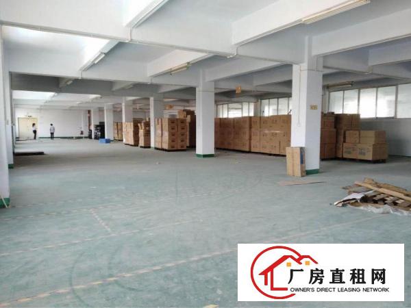 
		惠阳秋长标准独院厂房，带红本
	
