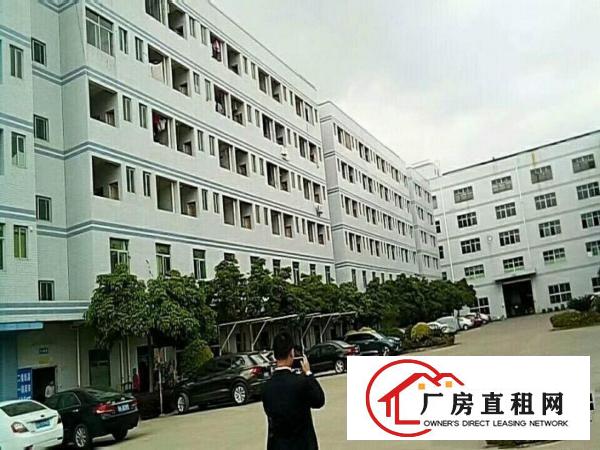 
		免中介惠阳爆盘秋长独立楼高厂房标准厂房出租
	