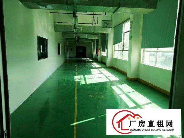 
		秋长超靚1800平电子厂房有消防现成现办公室
	