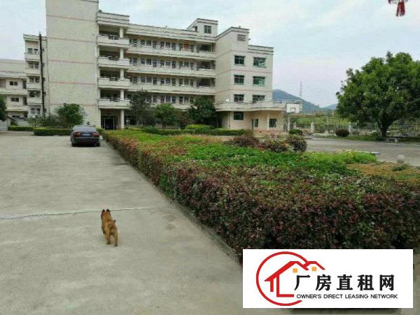 
		秋长超靚1800平电子厂房有消防现成现办公室
	