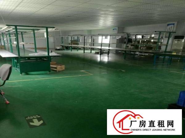 
		惠阳秋长西湖楼上带装修厂房1800平方米
	