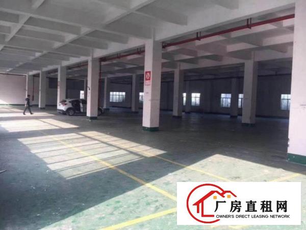 
		惠州秋长白石标准厂房(一搂)1500平方，滴水6米
	