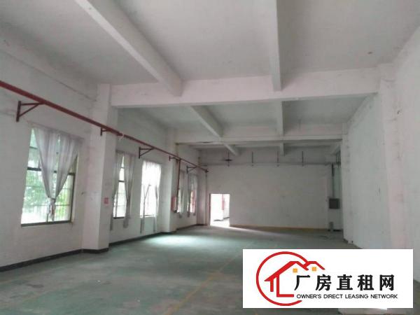 
		惠州秋长白石标准厂房(一搂)1500平方，滴水6米
	