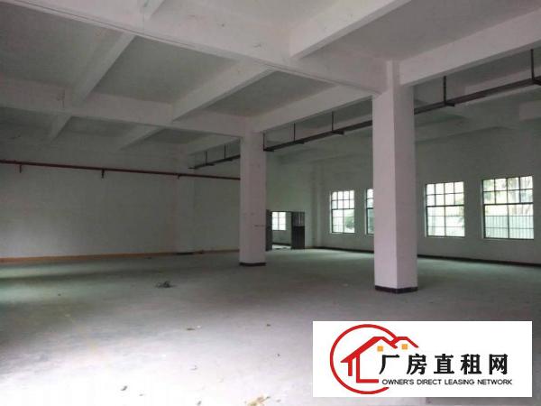 
		惠州秋长白石标准厂房(一搂)1500平方，滴水6米
	