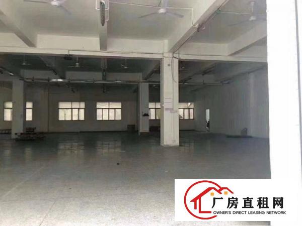 
		惠州秋长白石标准厂房(一搂)1500平方，滴水6米
	