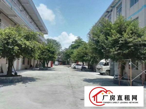 
		秋长新出小独院厂房3600平宿舍1480平，有电梯
	