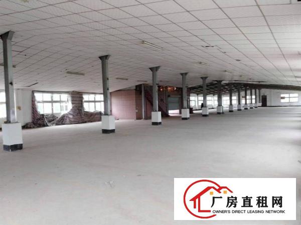 
		秋长维布2楼1000平带精装不限行业出租可分租
	