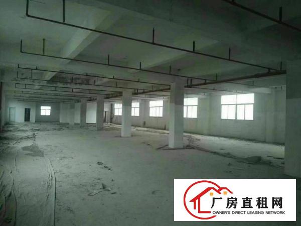 
		惠阳秋长可做污染独院厂房6500平，有消防可分租
	