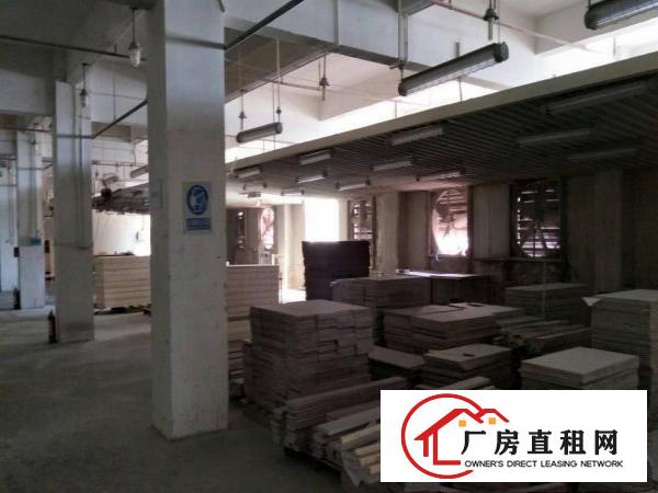 
		惠阳秋长11500平原房东独院厂房无公摊面积可分租
	