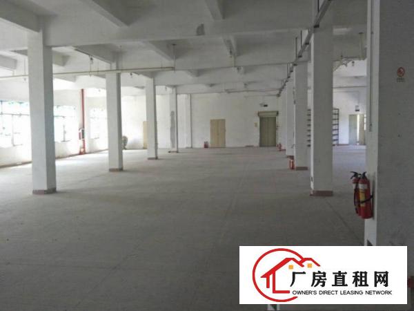 
		惠阳秋长4600平带装修独院厂房出租空间超大可分租
	