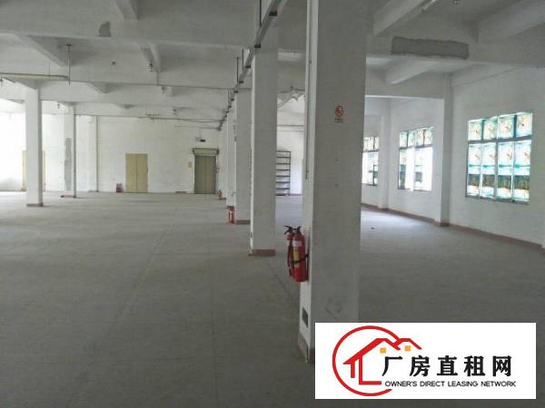 
		惠阳秋长4600平带装修独院厂房出租空间超大可分租
	