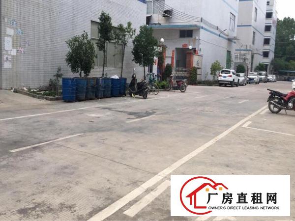 
		秋长原房东标准一楼1000平出租带办公精装消防喷淋
	