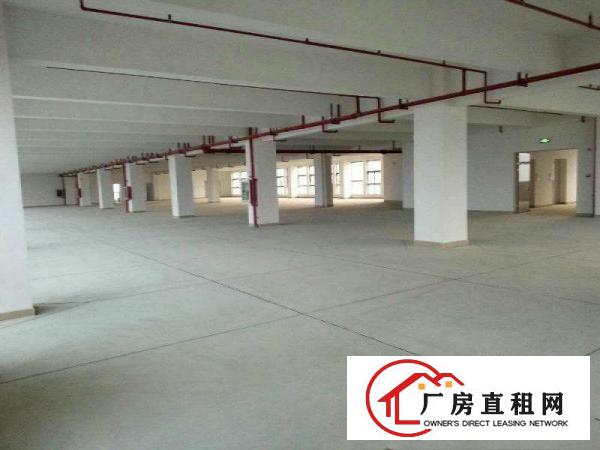 
		惠阳秋长新出一楼1500平标准厂房出租
	